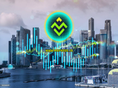 MapNode: From Blockchain Startup Project to Legal International Enterprise